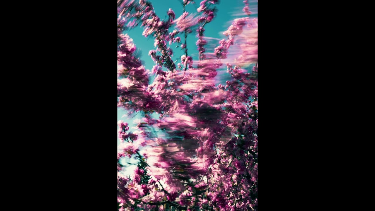 [FREE] Melodic Trap Type Beat - 