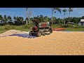 THE MOST EFFICIENT CORN GRINDING MACHINE EVER MADE! SATISFYING PROCESS! - Agricultural Farming