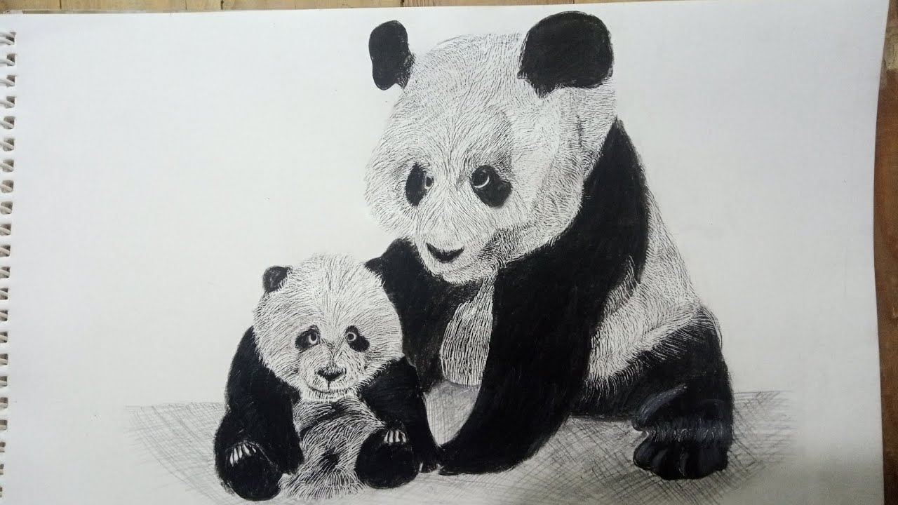 How To Draw Mom And Baby Panda 