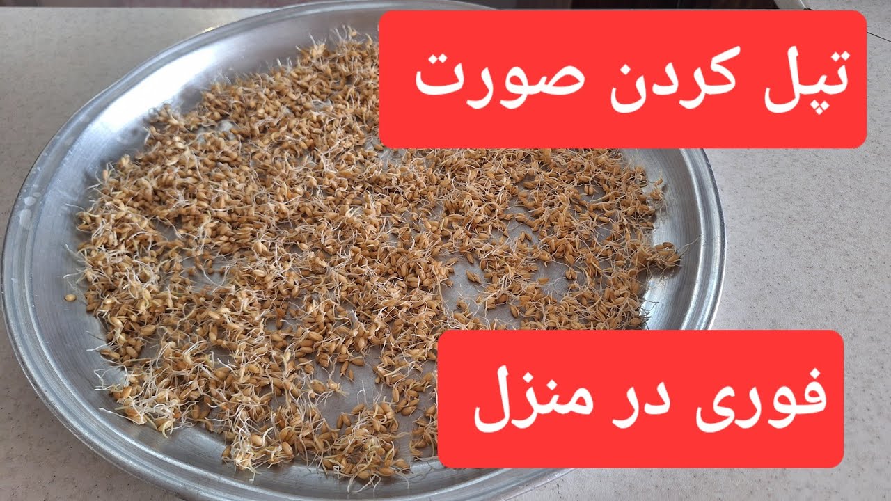 جوانه گندم برای چاقی صورت