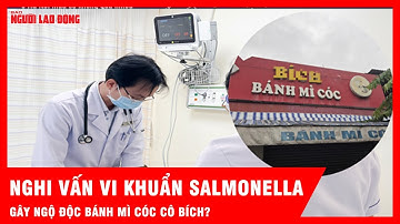 Có phải vi khuẩn Salmonella khiến 235 người ngộ độc khi ăn bánh mì cóc Cô Bích? | Thời sự