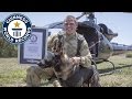 Arrow, the dog who skydives to save wildlife - Guinness World Records