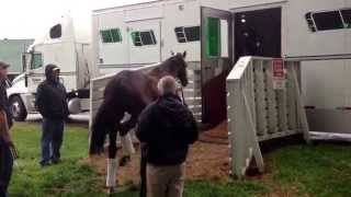 Kentucky Derby winner Orb Leaves Churchill Downs