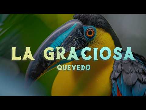 Quevedo - LA GRACIOSA (Lyrics/Letra)