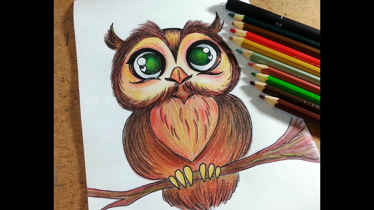 Raposa  Desenhos a lápis de cor, Desenho a lápis de cor, Desenhos de  animais realistas