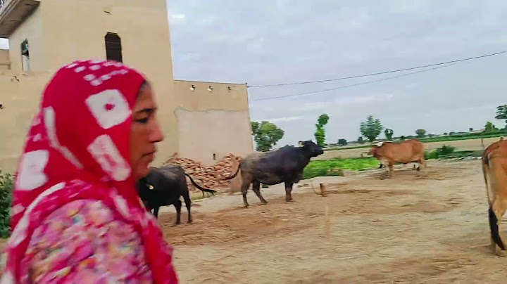 Today Sitaram ji is not at home so the situation has become bad #comedy #funny #comedyfilms #cult...