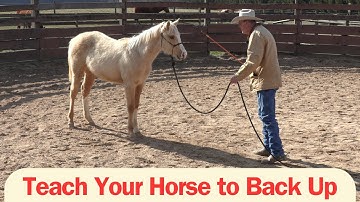 Teach Your Horse to Back Up (Episode 202) - A Lifetime with Horses