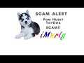 Realistic Pom Husky Toy Dog Scam