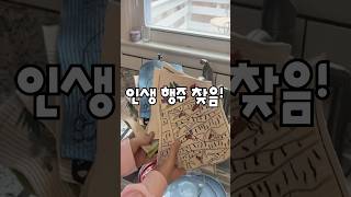 가성비 최고 주방 꿀템! 친환경 셀룰로오스 행주로 키친타월 그만!