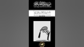 ما تيسر من سورة البقرة #القرآن_الكريم #الله #reels #foryou #follow #لايك #تيك_توك #quran #fyp