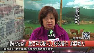 1070222觀天下新聞08 新店區數百年老樹九丁榕樹醫公 庇蔭地方