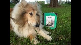 Harry The Dirty Dog By Gene Zion Margaret Bloy Graham, Ill., Read By Nicholas Hoare