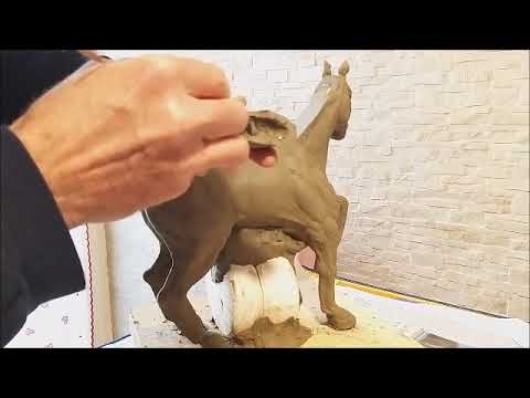Video: Come Modellare Un Cavallo Di Plastilina