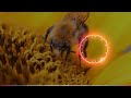 End Of Time Vlog No Copyright Music End Of Time Vlog No Copyright Music