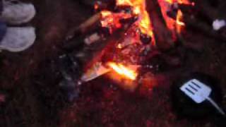 Webkinz at the Camp Fire