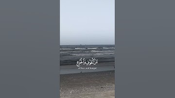 وبشر الصابرين...تلاوة مريحة من سورة #البقرة بصوت القارئ #اسلام_صبحي #المصحف #قرآن #ستوريات_اسلامية