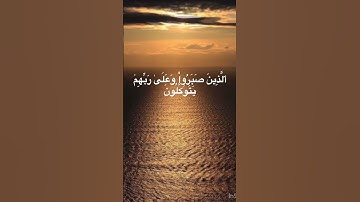 (ٱلَّذِينَ صَبَرُواْ وَعَلَىٰ رَبِّهِمۡ يَتَوَكَّلُونَ) سورة العنكبوت للشيخ عبدالرحمن مسعد