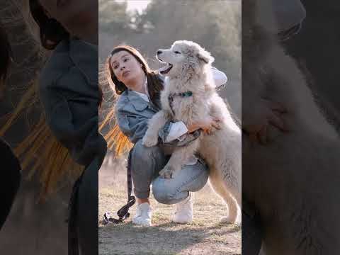 Интересные факты о собаках. Часть 5 #собака #dog#факты