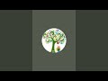 Growskills is live! Class 5 | Tenses in english grammar | learn tense by one sentence