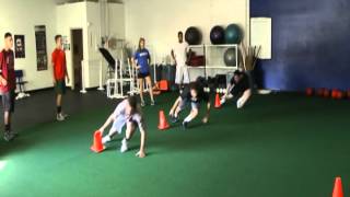 task specific agility