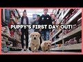 PUPPY'S FIRST DAY OUT SHOPPING TRIP!