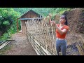 Complete vegetable garden woven bamboo fence planting vegetable seeds  free bushcraft ep96