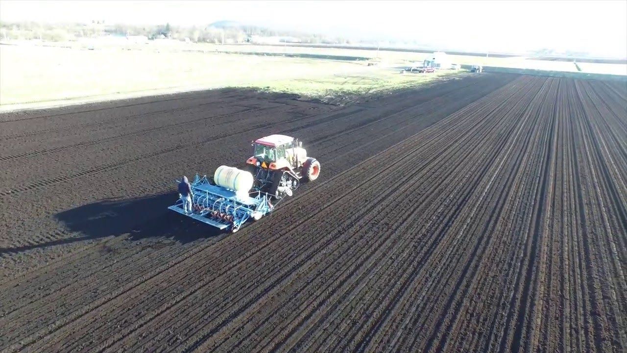 Onion planting Orange County NY YouTube