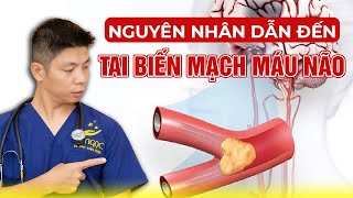 3 Nguyên Nhân Dẫn Đến Tình Trạng Tai Biến Mạch Máu Não | Dr Ngọc