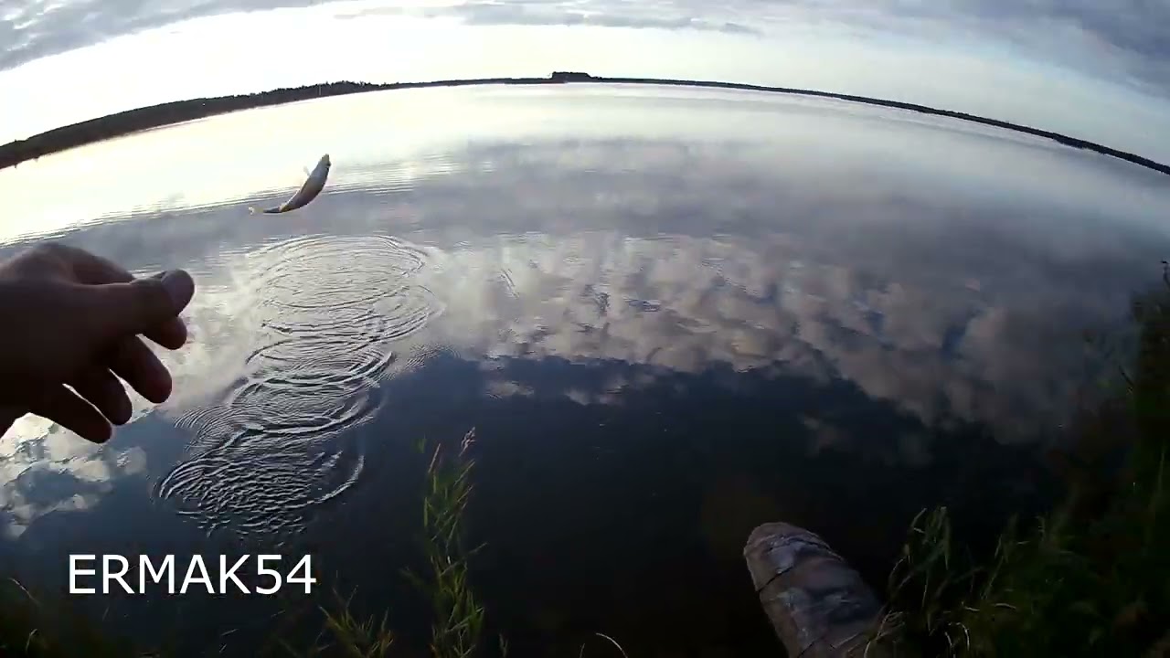 Ловля окуня на слаги. Отводной. Копия Worm 50 мм.