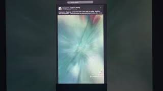 Ziggys First Lead Training Outing Day With Pawesome Academy 14 Mar 23