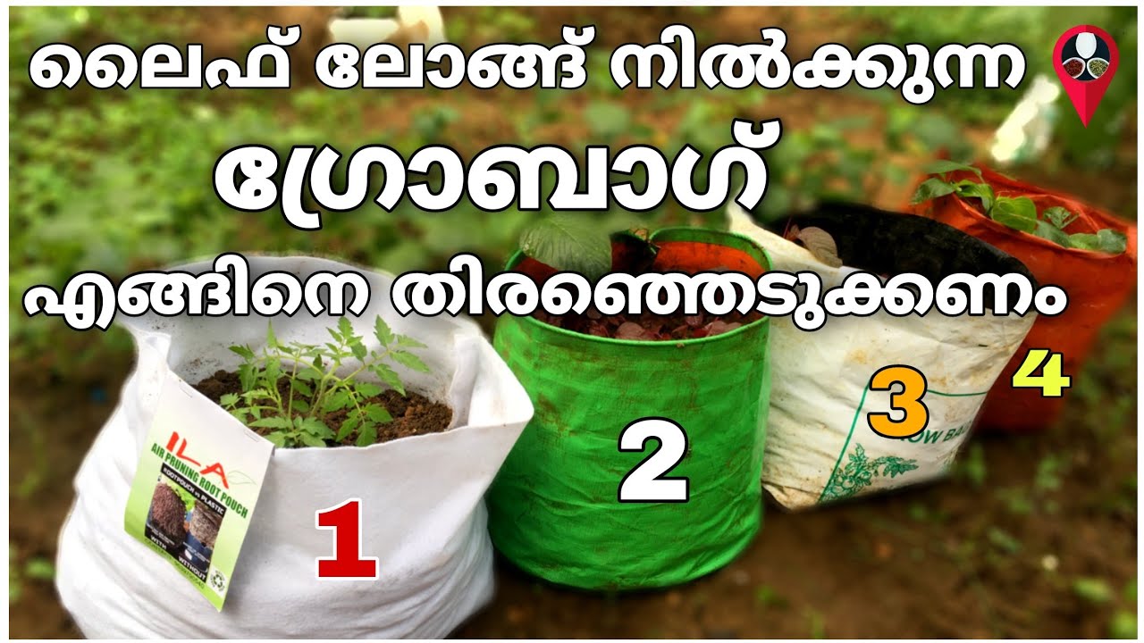 ശരിയായ ഗ്രോബാഗ് കൃഷി How to make grow bag at home Grow bag krishi