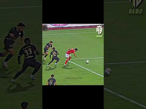 زيزو الأساس والباقي شنط وأكياس 