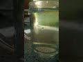 15 июня 2025 г.