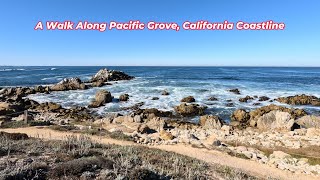 A Walk Along Pacific Grove, California Coastline @StevesStrayStuff