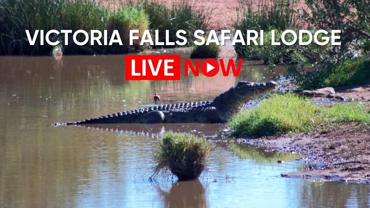 Live camera view of Victoria Falls in Victoria Falls, Zimbabwe