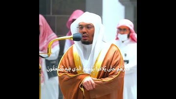 أم لهم إله غير الله سبحان الله عما يشركون ~ تلاوة خاشعة جدا من سورة الطور للشيخ ياسر الدوسري 😢😍