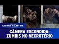 Zumbis no Necrotério (Zombies in the Morgue) | Câmera Escondida (12/03/17)