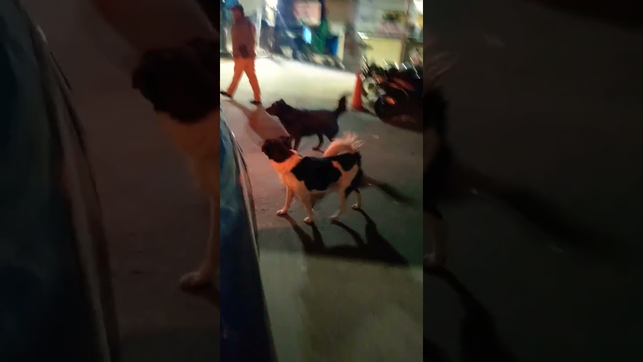 Indian night attackar 