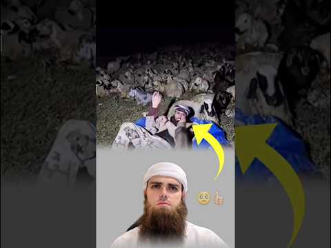 من تسلح بالأيمان عاش حياته مطمأن مهما أتته من صعاب تصاميم عبارات حالات وتس متابعه لايكي اكسبلاور