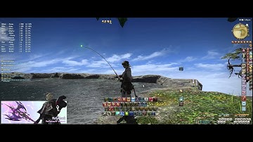FF14 - Catching a Catkiller (lvl.60 fisher quest)