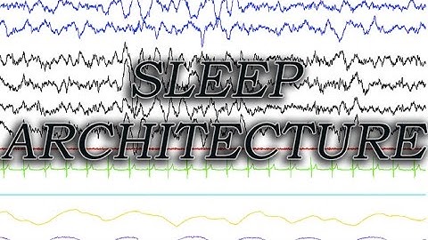 Sleep Architecture