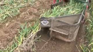 garlic harvester, NewFarmer garlic harvesting machine