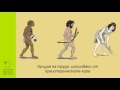 Първобитните хора