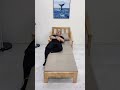 Space Saving Furniture