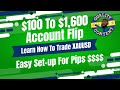 INSANE Forex Scalping On XAUUSD | Learn How To Trade Gold | BEST Strategy | Flipping $100 To $1,600