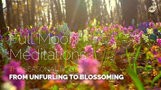 May Full Moon Mediation: From Unfurling to Blossoming | The Seasonal Body