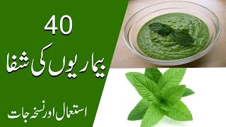 Mint Chutney | Pudina Chutney Recipe |Tasty Pudina chutney |  Pak Health Tips