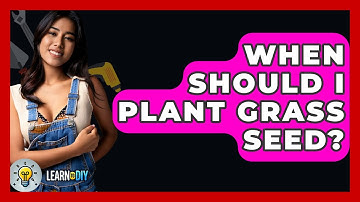 When Should I Plant Grass Seed? - LearnToDIY360.com