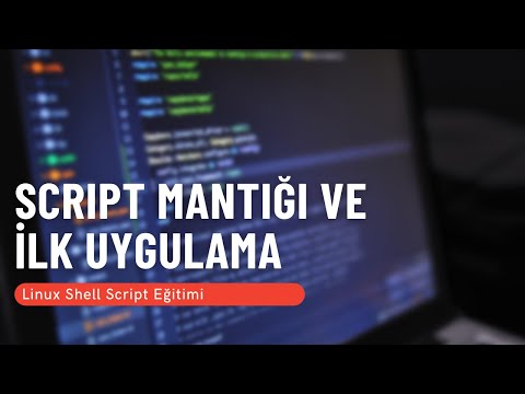 Video: Shell scripting hansı dildədir?