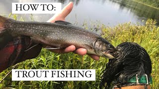 MN Designated Trout Lake Fishing & How to Find Good Lakes
